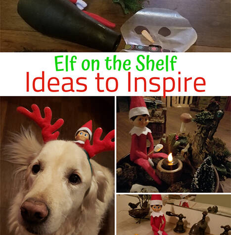 Elf on a Shelf Ideas to Inspire You