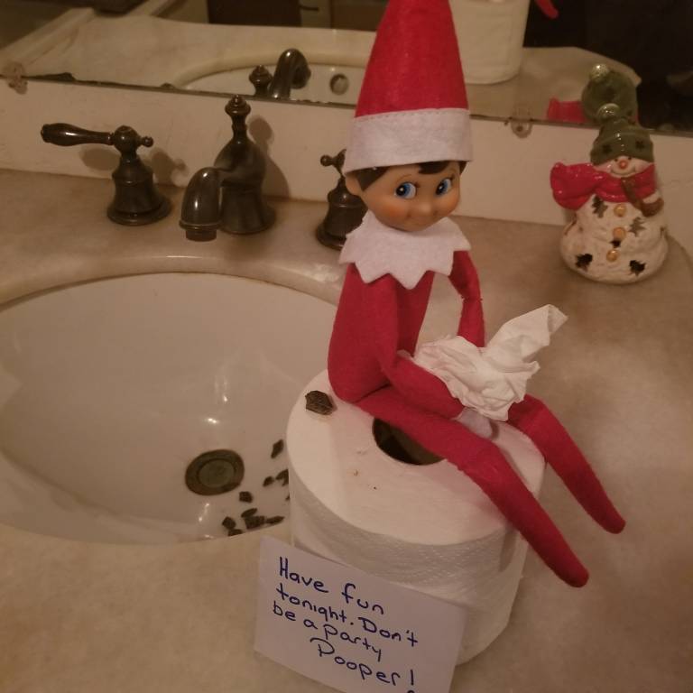 Elf on a Shelf Ideas to Inspire You – One Earth Botanical