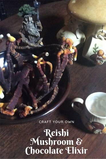 Craft your own Reishi Mushroom & Chocolate Elixir
