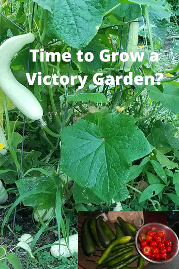 Time to Grow a Victory Garden?