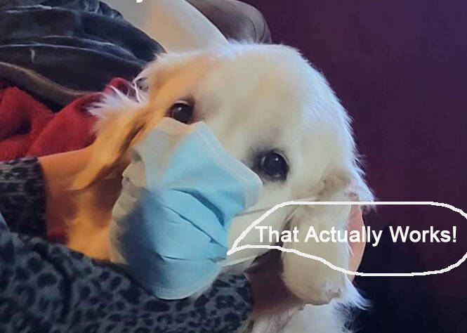 DIY Easy Homemade Box Fan Filter, That Actually Works!