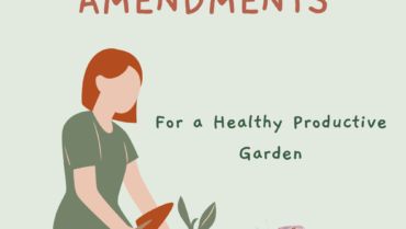 10 of My Favorite Soil Amendments for a Healthy Productive Garden